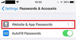 How to delete saved passwords on an iPhone