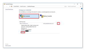 How to delete IE Saved passwords